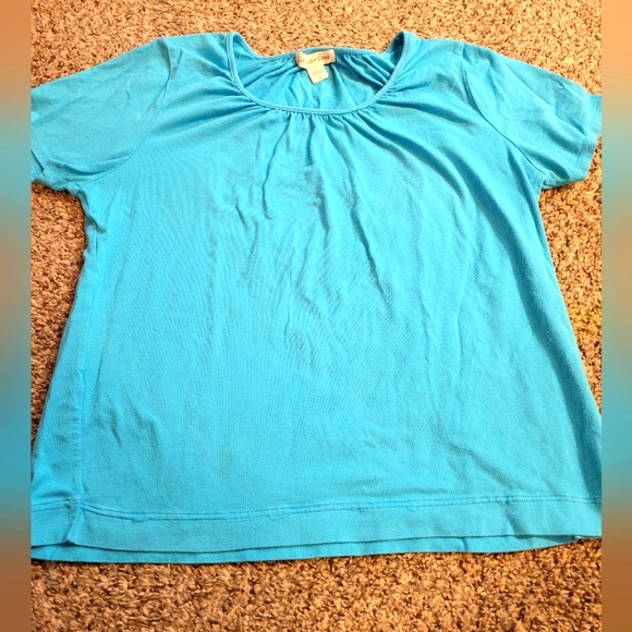 Set of two tops: L. Coldwater Creek and One World Tee-shirts - Picture 3 of 7